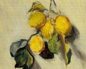 克劳德莫奈 - Branch of Lemons